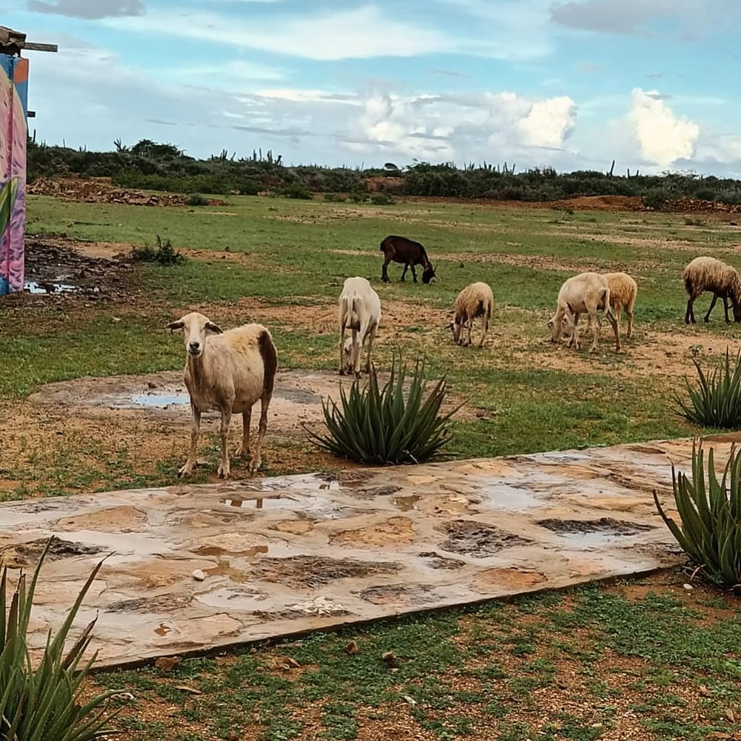 Paisaje 1 - La Guajira