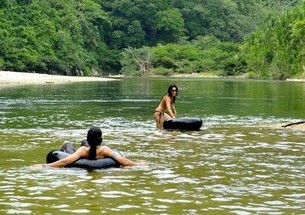 Palomino - La Guajira
